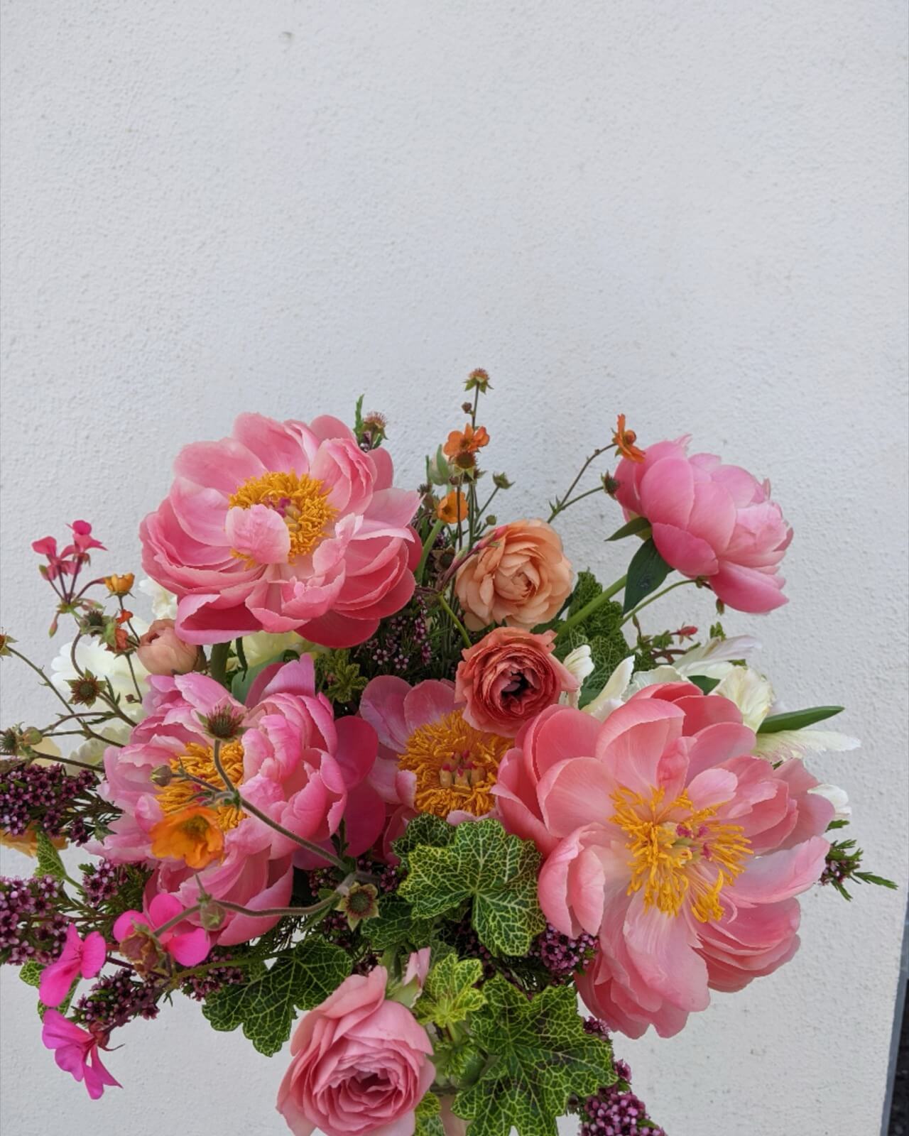 Coral charm peonies with ranunculus and geranium foliage